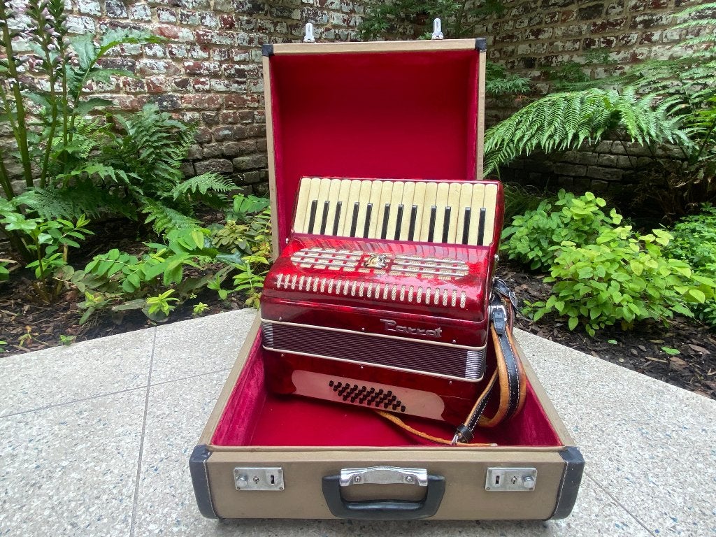 Accordéon Parrot Red, Musique & Instruments, Accordéons, Autres marques, Autres formats, Comme neuf, Enlèvement