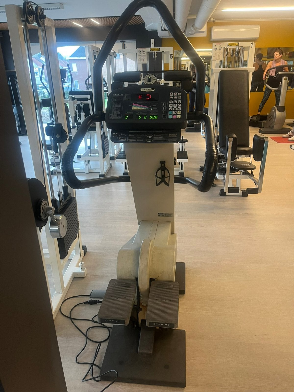 Technogym professionele step, Ophalen, Gebruikt, Metaal