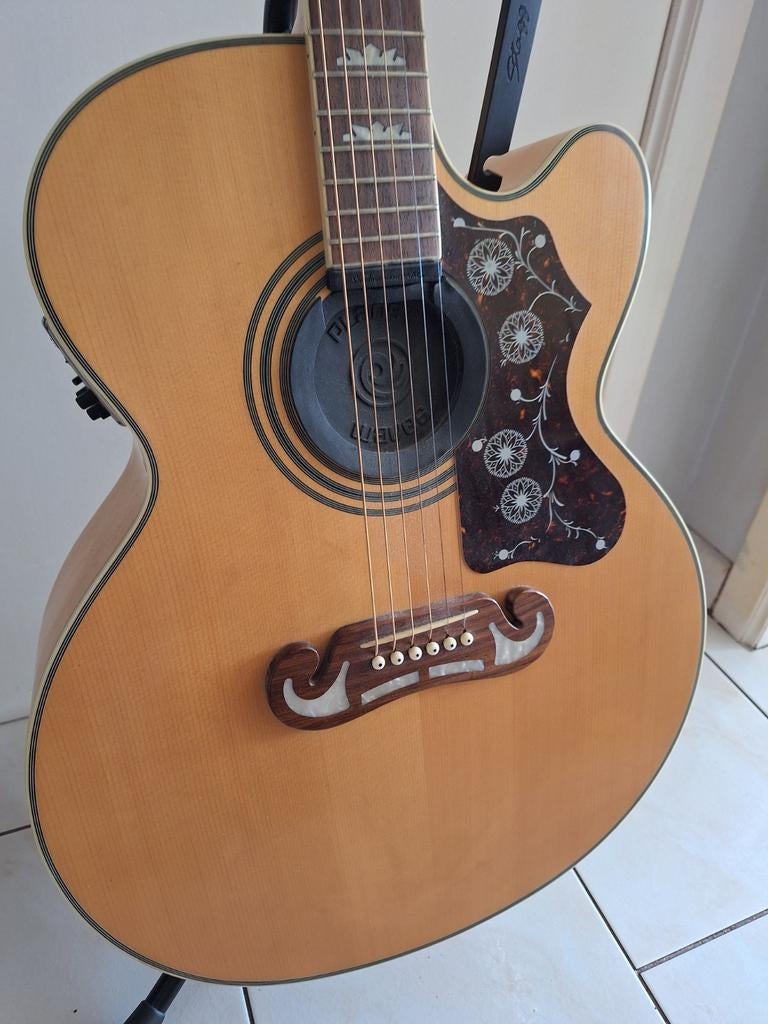 Guitare Epiphone, Enlèvement, Utilisé