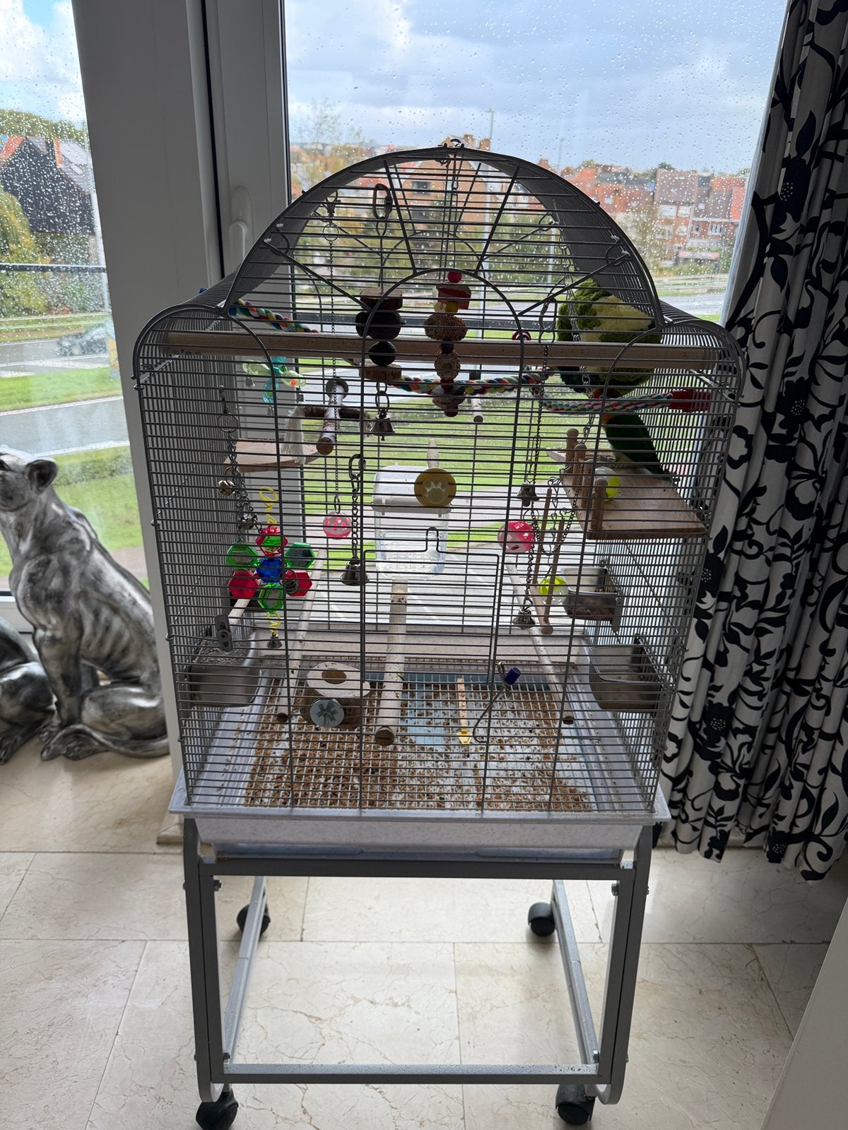 Vogelkooi + vogel ( dwergpapegaai), Dieren en Toebehoren, Ophalen, Zo goed als nieuw, Vogelkooi