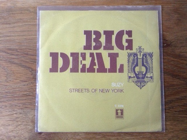 single big deal, Housse de protection extérieure, Enlèvement ou Envoi, 7 inch, Rock et Metal