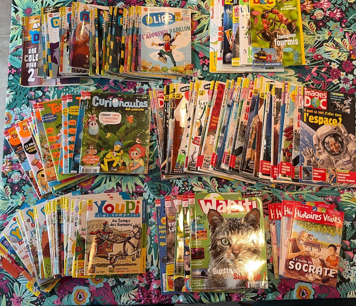 Magazine pour enfants, Livres, Enlèvement, Comme neuf, Garçon ou Fille, Livre de lecture