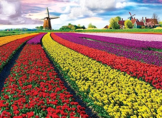 „Tulip Fields” puzzel van 1000 stukjes, Ophalen of Verzenden, 500 t/m 1500 stukjes, Zo goed als nieuw, Legpuzzel
