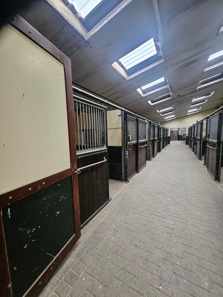 manege inventaris te koop