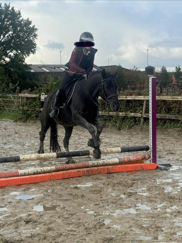 🌸 Un doux et bon poney D à vendre 🌸, Jument, Poney D (1.37 m à 1.48m), Poney de récréation, Avec puce électronique