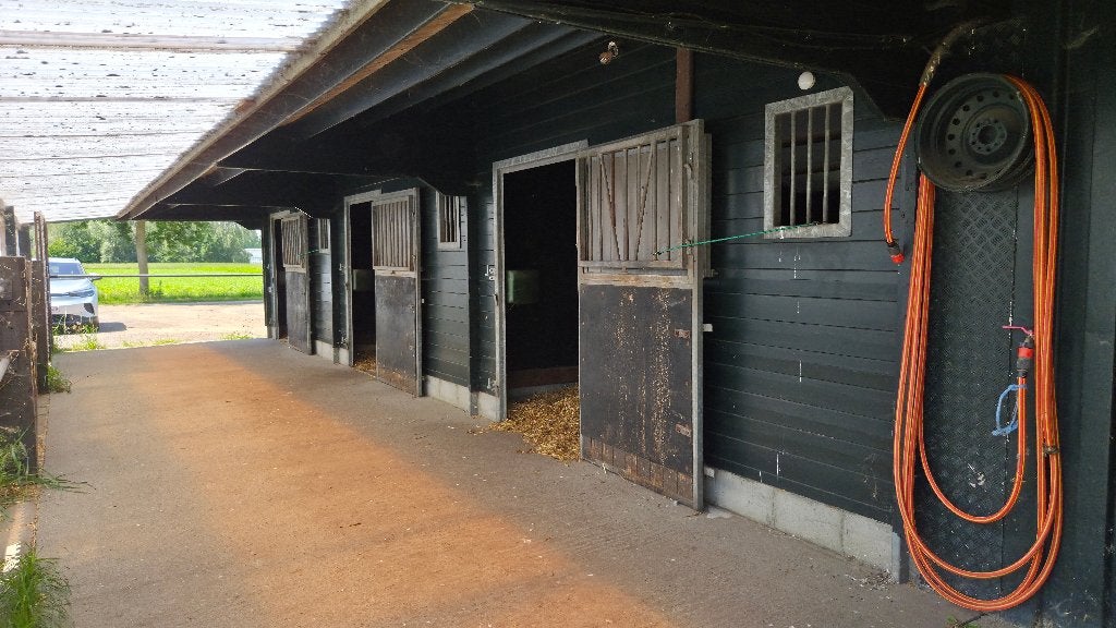 Stallen + weide te huur, Weidegang, 2 of 3 paarden of pony's
