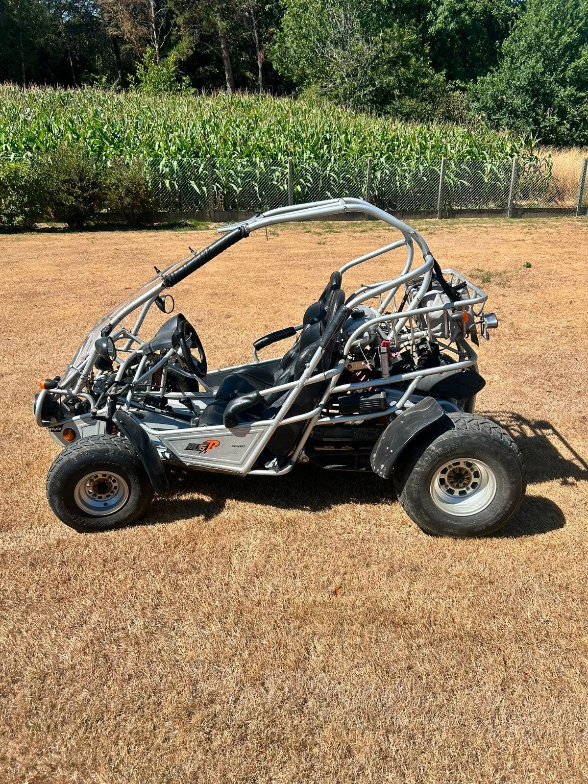 Buggy pgo 250cc, Motoren