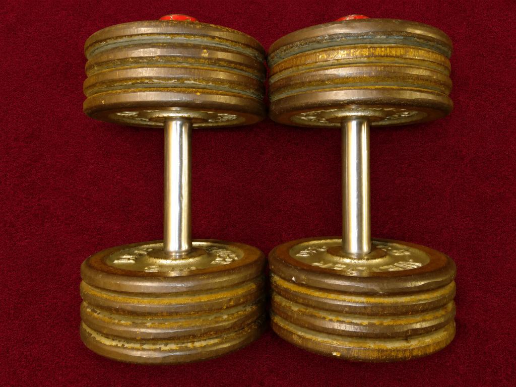 Paire d’haltères 18 kg WEIDER vintage, Sports & Fitness, Équipement de fitness, Utilisé, Haltère, Enlèvement