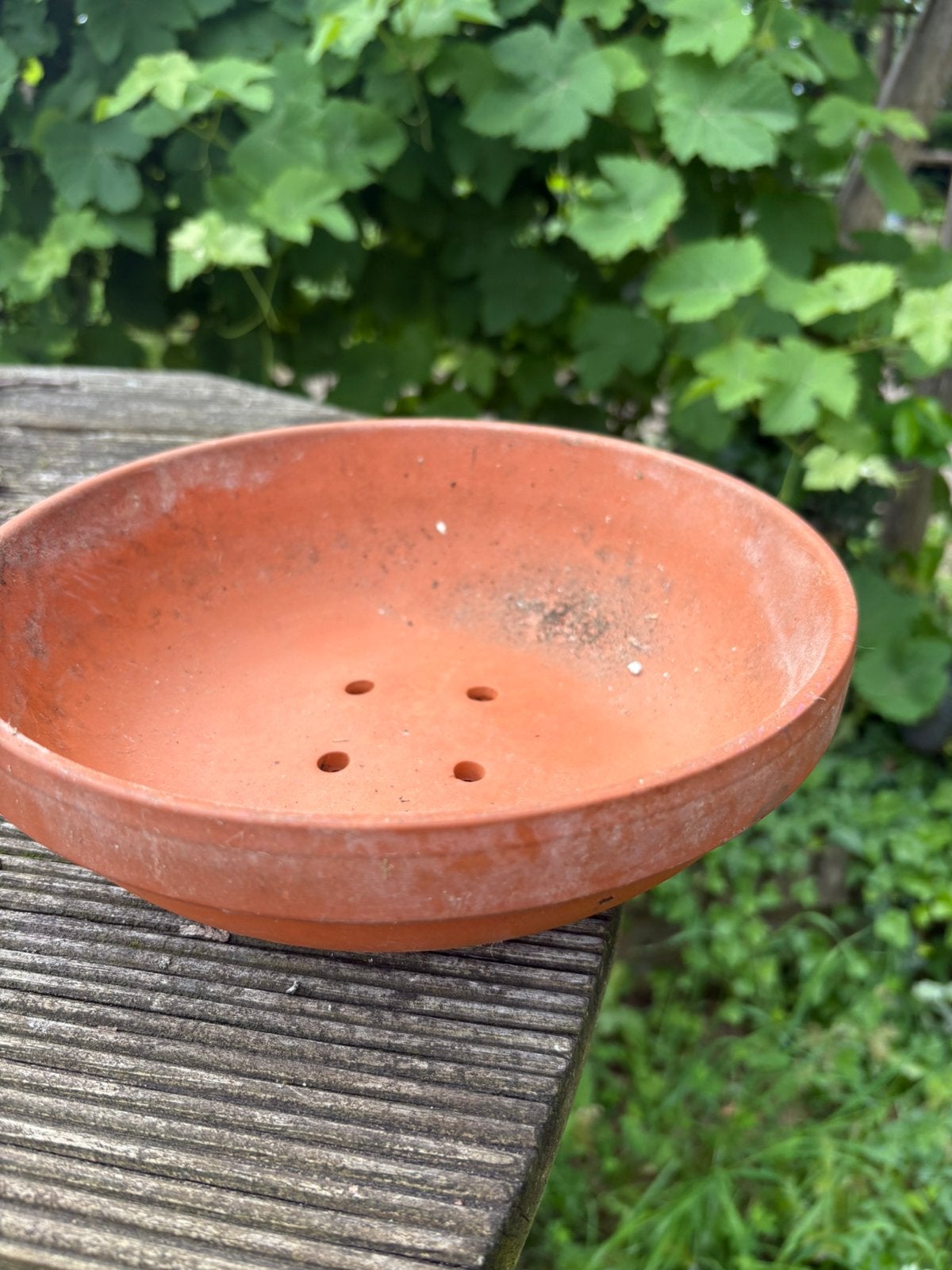 Broedschaal van terracotta voor duiven, Ophalen of Verzenden, Zo goed als nieuw