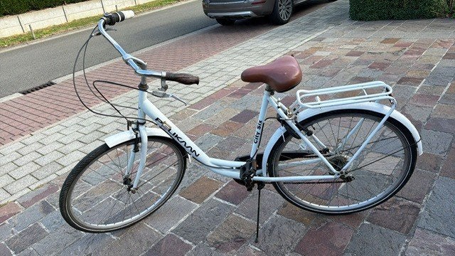 studentenfiets, Ophalen, Gebruikt, Velgrem, (Extra) lage instap
