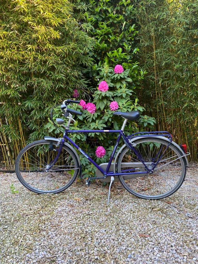 Herenfiets, Gebruikt, Velgrem, Versnellingen, 53 tot 57 cm