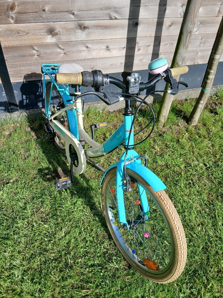 Kinderfiets 20 inch, Ophalen, 20 inch of meer, Gebruikt, Velgrem