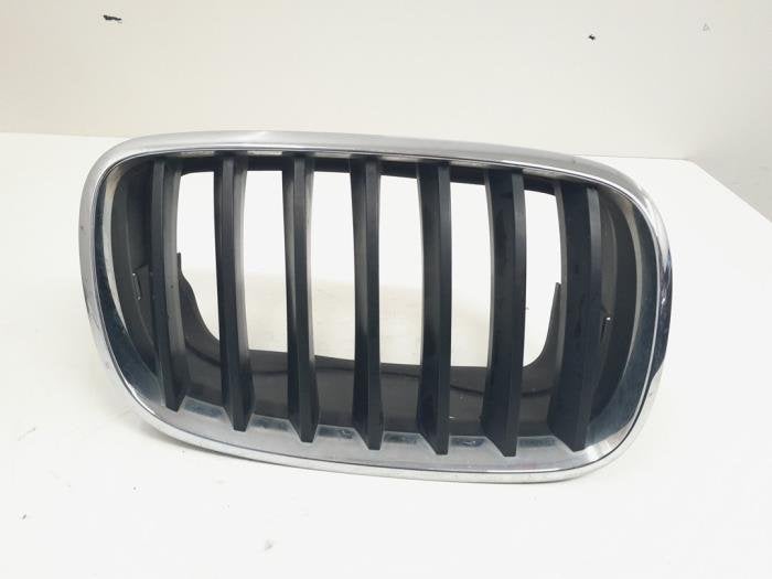 Calandre d'un BMW X5 (475), -, 3 mois de garantie, Utilisé, -