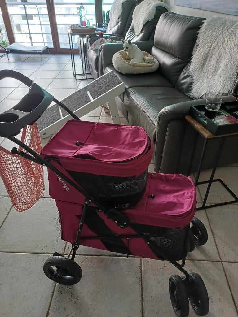Pousette chien, Animaux & Accessoires, Accessoires pour chiens, Enlèvement