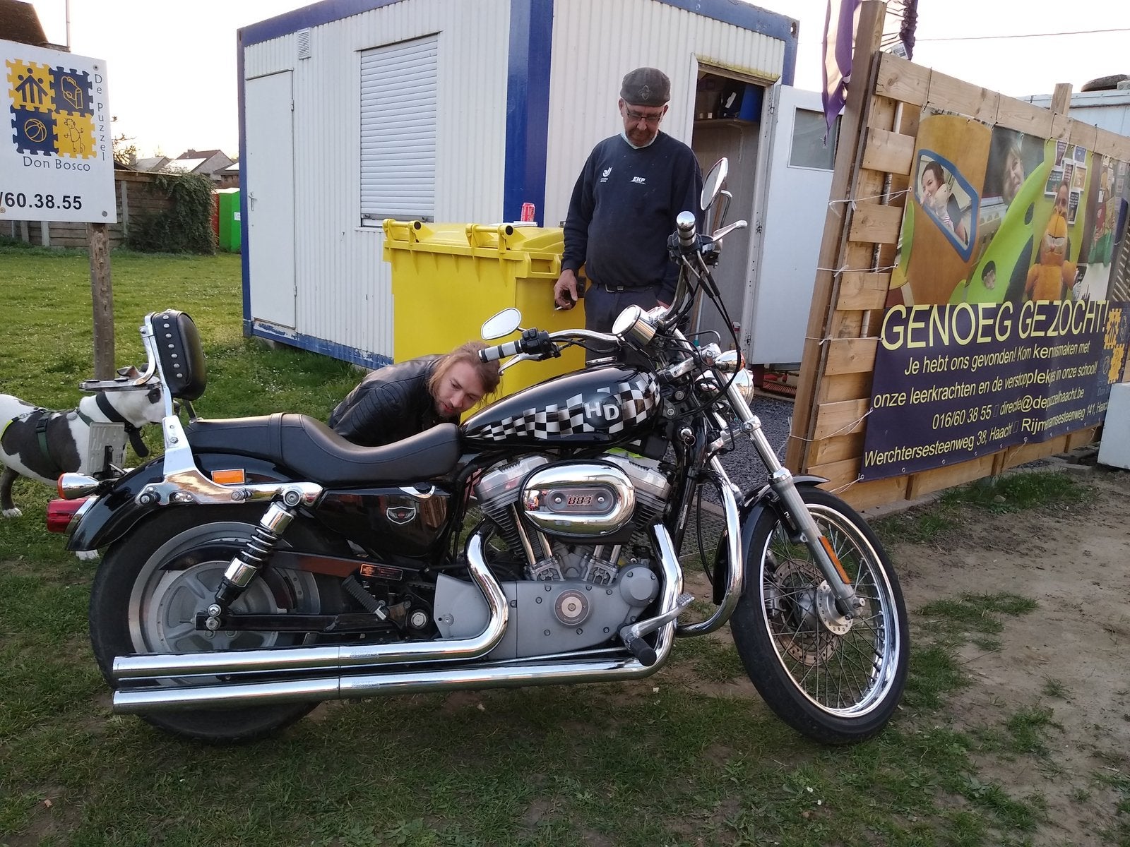 Harley Davidson XL53C SPORTSTER 53 CUSTOM, noir, blanc, Plus de 35 kW, Chopper, 2 cylindres, Particulier