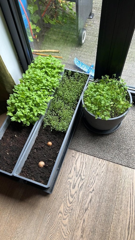 3 Plantenbakken, Ophalen