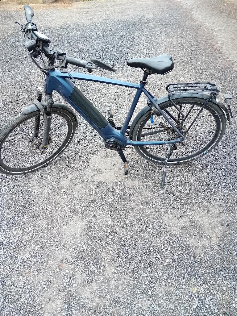 gazelle speed pedelec, Fietsen en Brommers, Ophalen, Gebruikt, 51 tot 55 cm, 50 km per accu of meer
