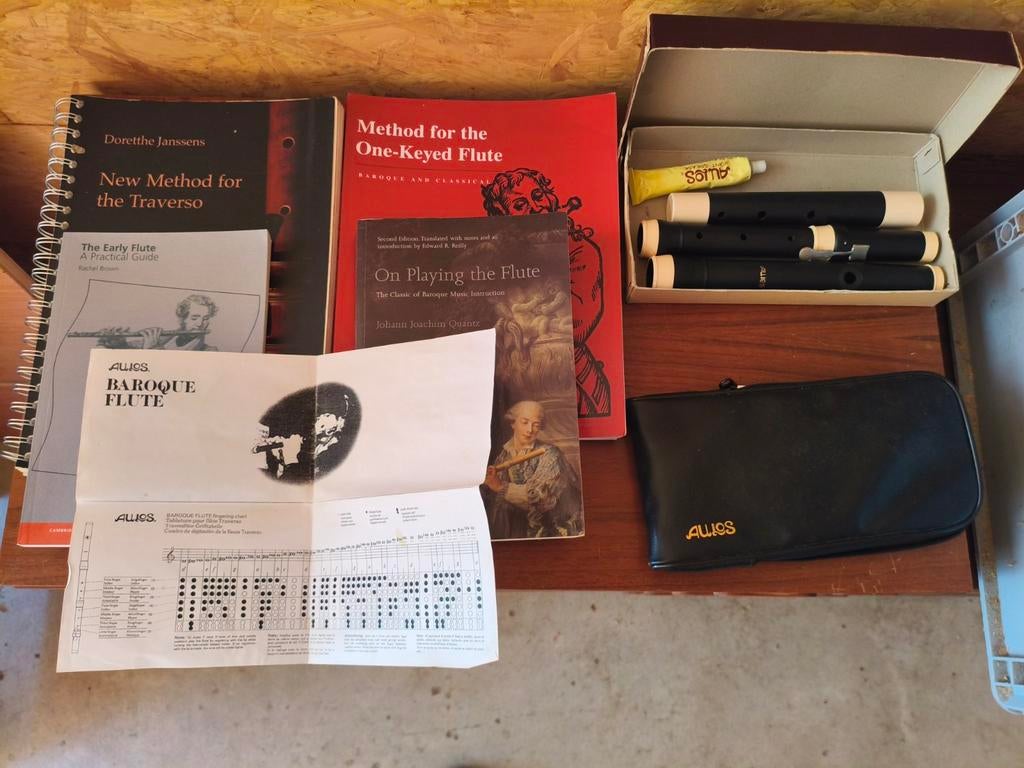 Aulos af-2 traverso /aulos tenor/ boeken, Muziek en Instrumenten, Ophalen