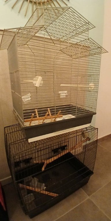 vogelkooi, Dieren en Toebehoren, Vogels | Hokken en Kooien, Ophalen, Gebruikt, Metaal, Vogelkooi