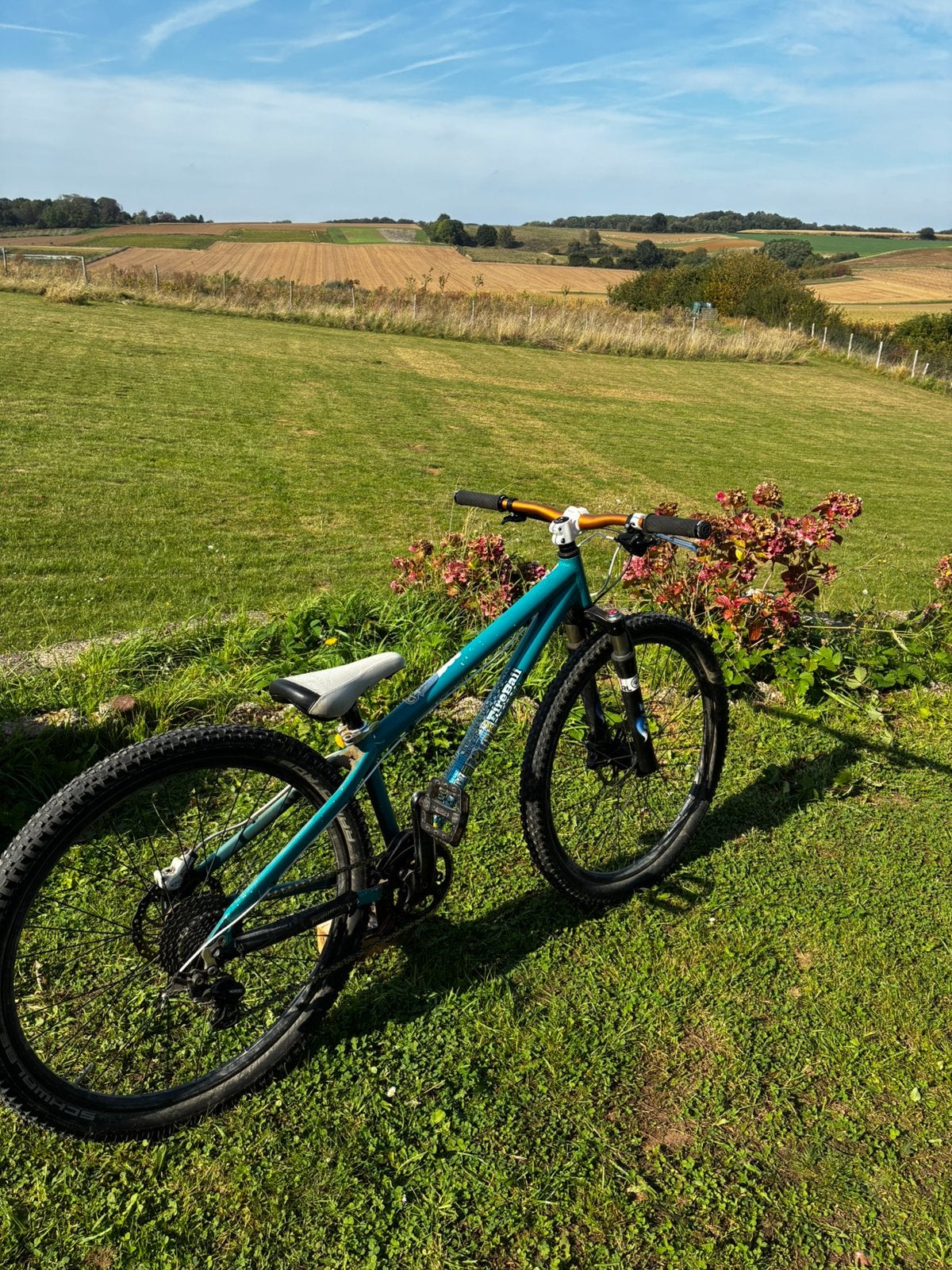Dirt jumper, VTT semi-rigide, Enlèvement, Utilisé, Frein à disque