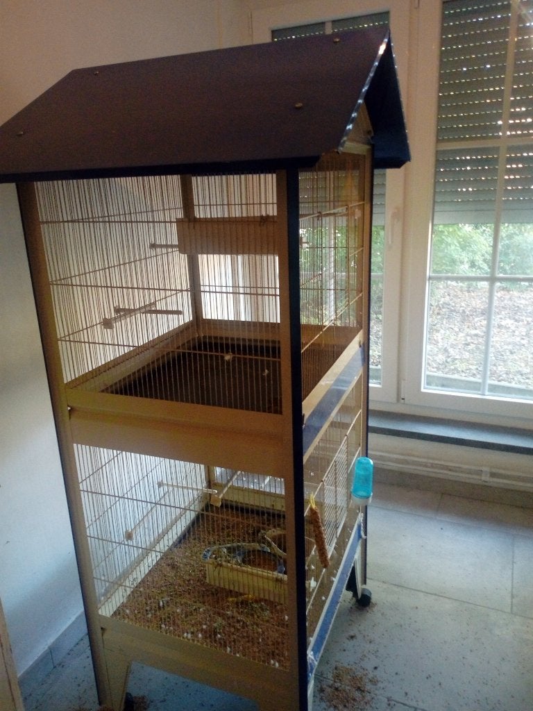 Cage à oiseaux sur pied, Enlèvement, Comme neuf, Cage à oiseaux