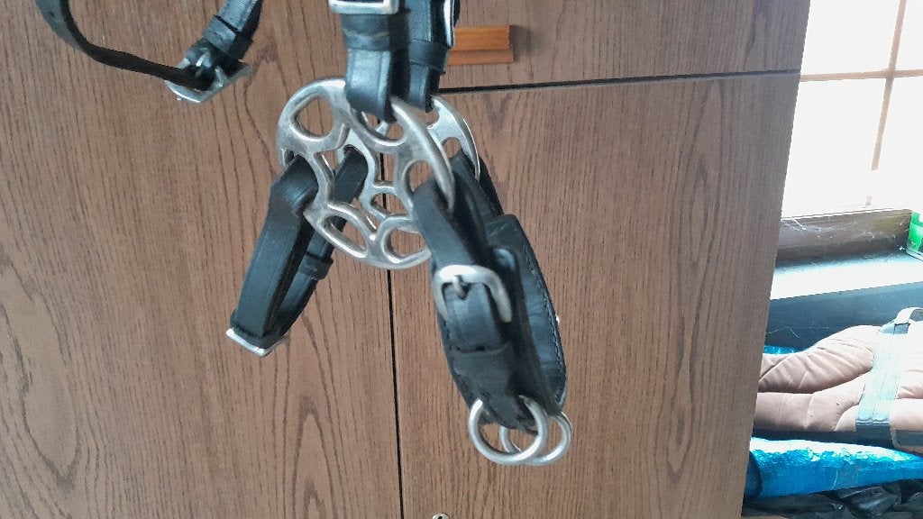 Bitloos hoofstel/kaptoom combinatie, Full, Dieren en Toebehoren, Ophalen of Verzenden, Zwart, Full, Overige merken