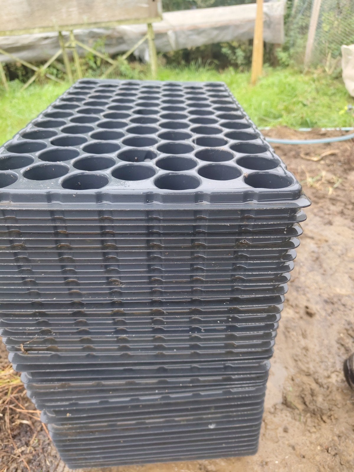 77 gaats zaai tray, groenten. 33 Trays, 20 vierkante gratis, Ophalen