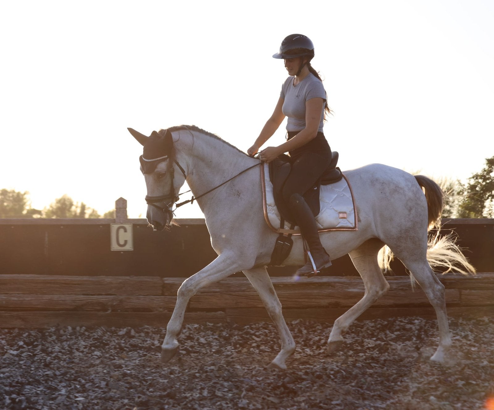 Allrounder, Dieren en Toebehoren, Merrie