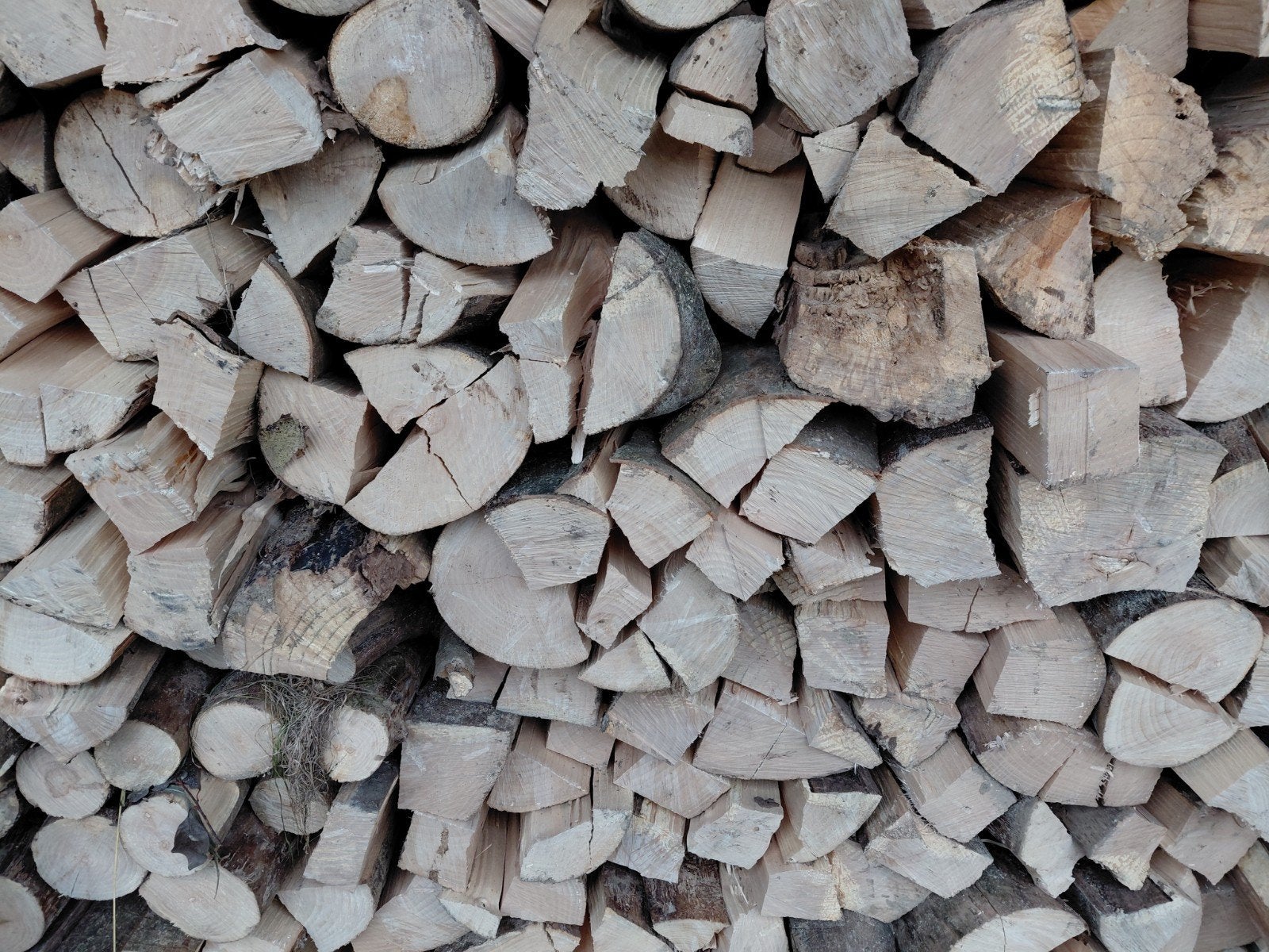 Bois de chauffage sec pour l'hiver prochain, 6 m³ ou plus, Enlèvement, Chêne, Bûches