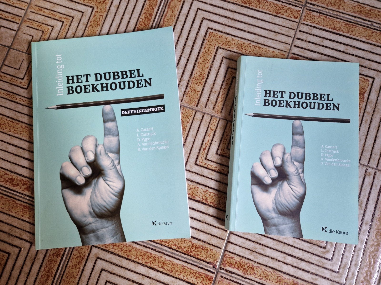 Dirk Pype - Inleiding tot het dubbel boekhouden (handboek), Boeken, Economie, Management en Marketing, Ophalen of Verzenden, Dirk Pype
