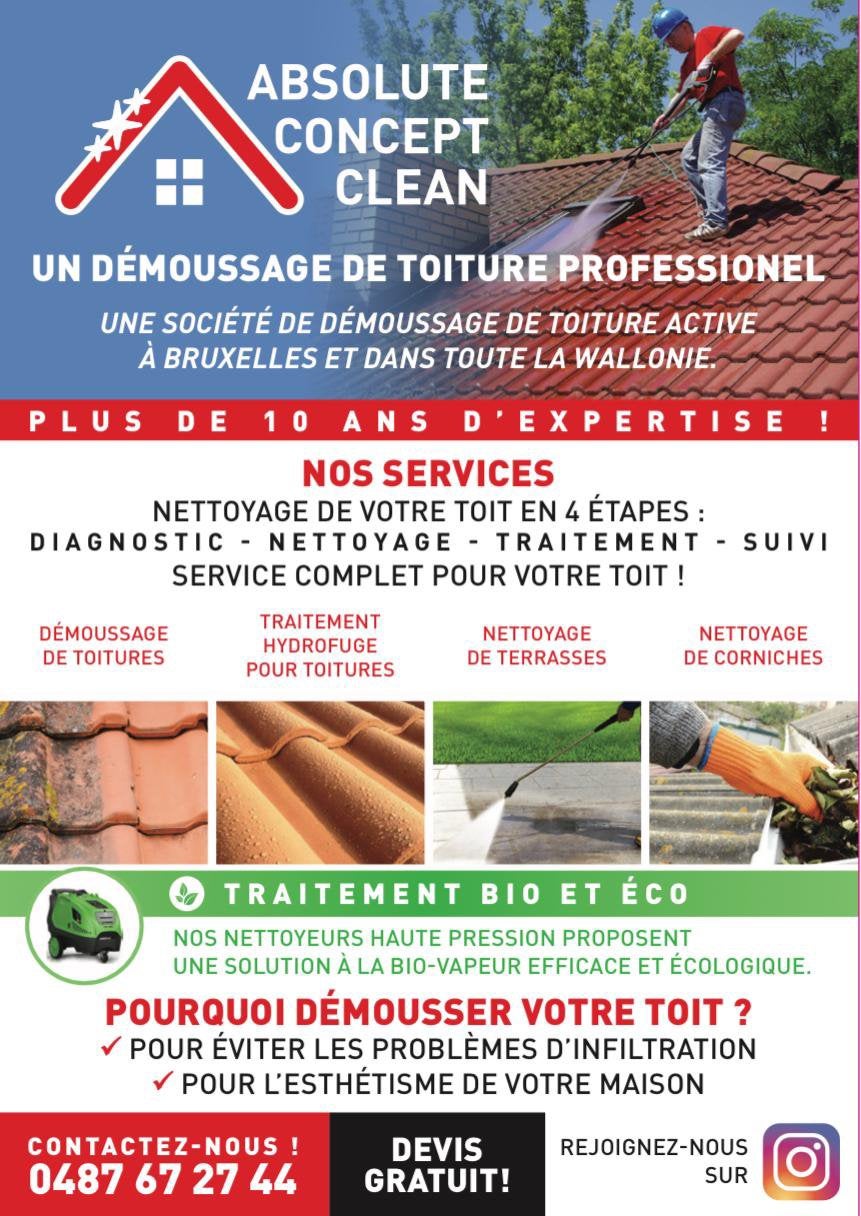 DÉMOUSSAGE DE TOITURE, Enlèvement