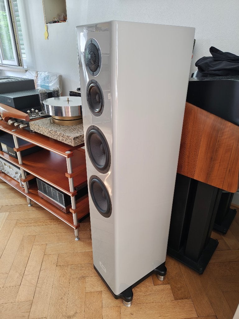 AUER Acoustics VERSURA V2 & McIntosh MC901, Vloerstaande luidspreker, Zo goed als nieuw, Ophalen, 150 watt of meer