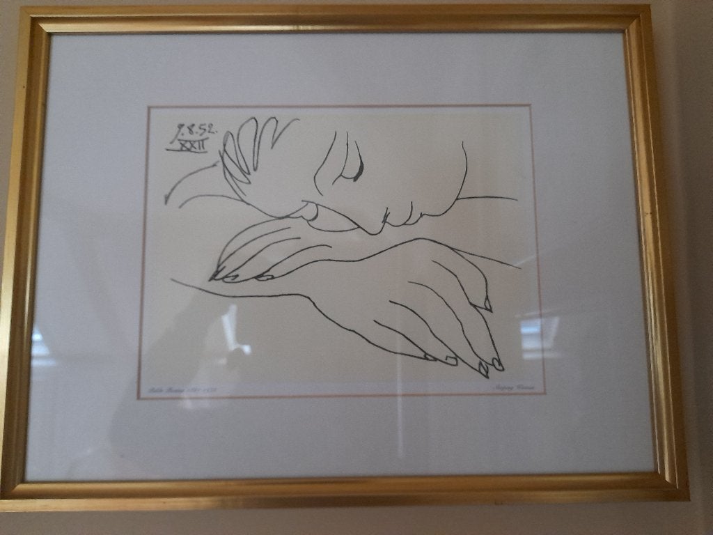 Picasso: reproductie van tekeningen, Ophalen of Verzenden, Zo goed als nieuw, Schilder- en Tekenkunst