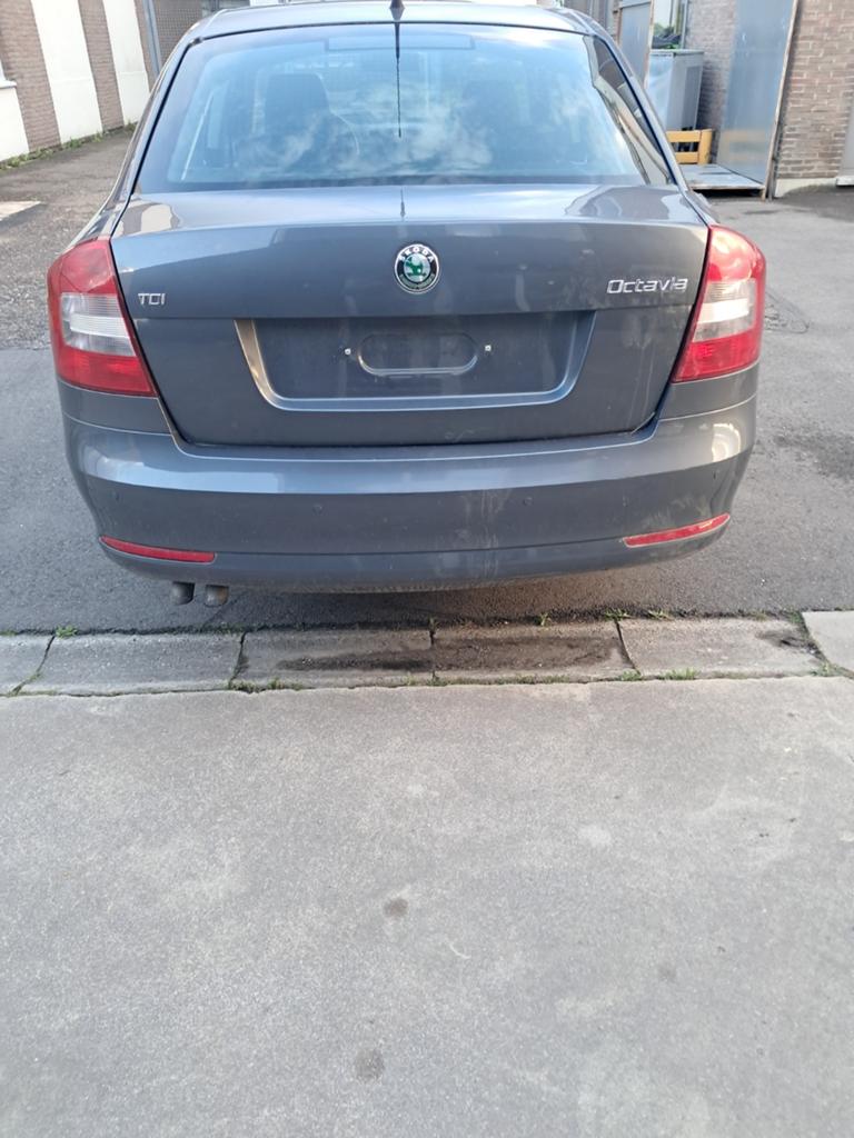 Skoda octavia 1.9tdi, Auto's, Airconditioning, Particulier, Euro 4, Te koop