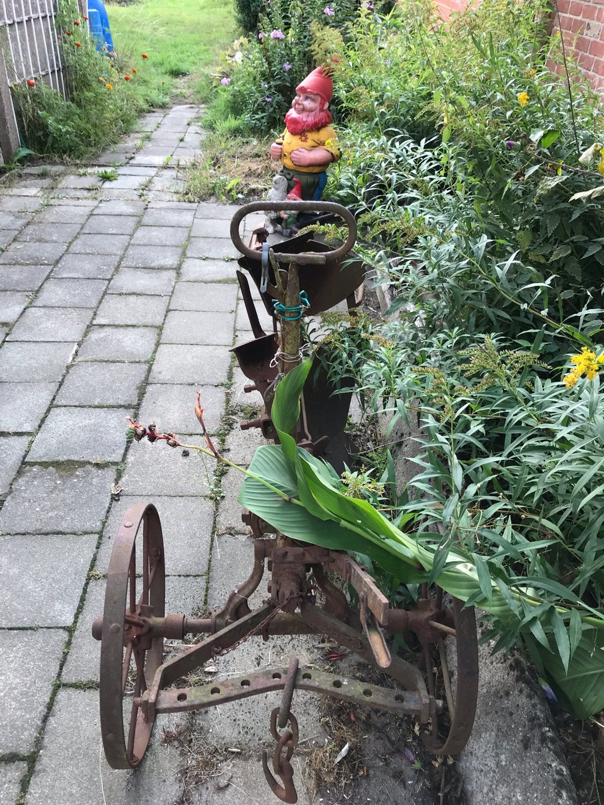 Grote paardenploeg, Enlèvement