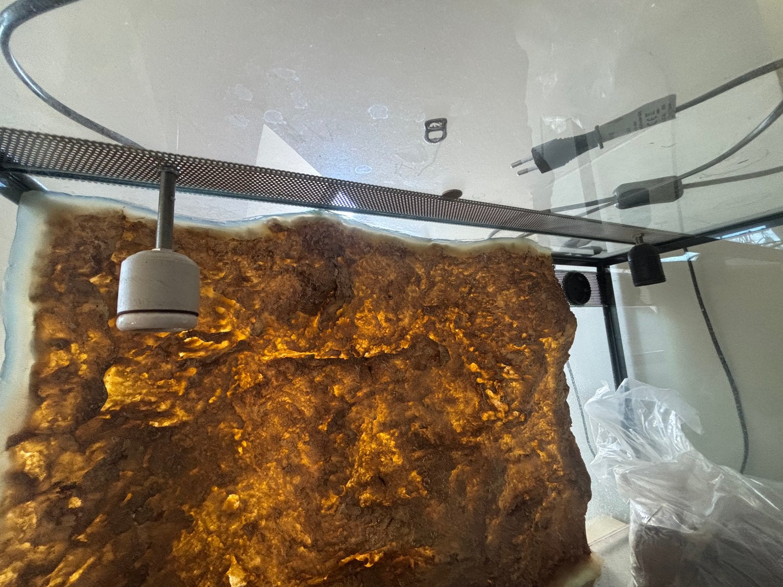 terarium reptielen, Dieren en Toebehoren, Reptielen en Amfibieën | Toebehoren, Gebruikt, Terrarium of Paludarium, Ophalen