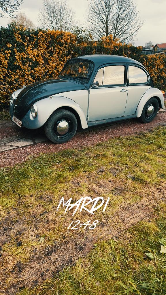 Volkswagen coccinelle, Autos, Volkswagen, Achat, Coccinelle, Particulier, 4 cylindres