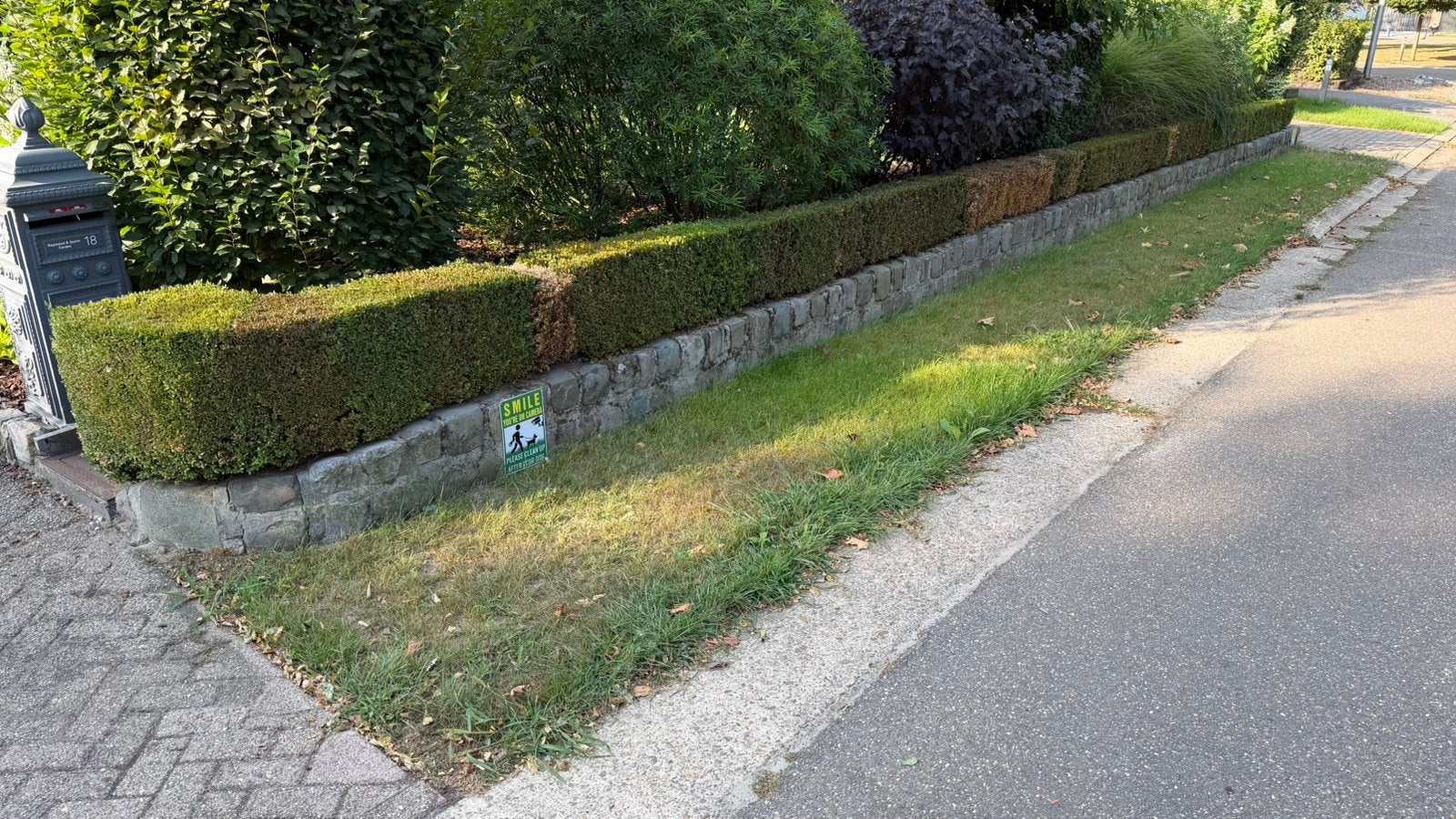 18 meter Buxushaag | Zelf uitgraven | Direct beschikbaar, Tuin en Terras, Planten | Struiken en Hagen, Ophalen, Buxus, Haag, Minder dan 100 cm