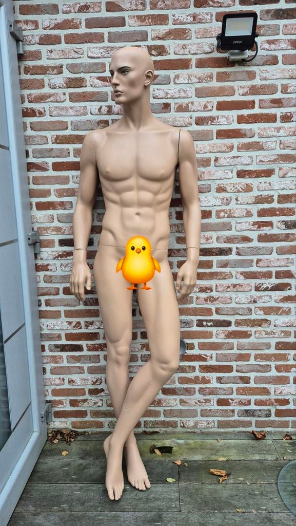 Mannequin homme, Enlèvement
