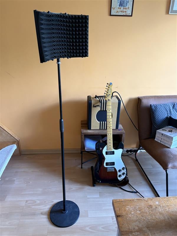 Devine reflectiefilter microfoon, Muziek en Instrumenten, Ophalen, Zo goed als nieuw, Overige typen