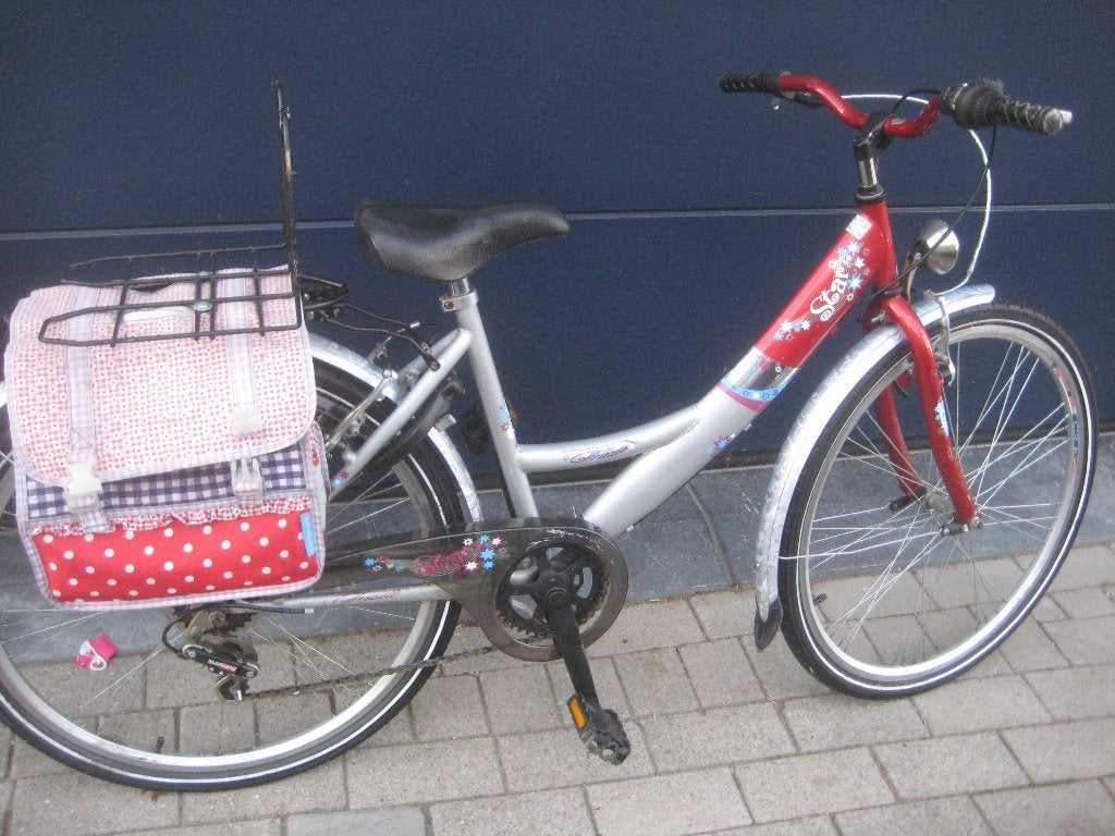 beau vélo pour enfants, Enlèvement
