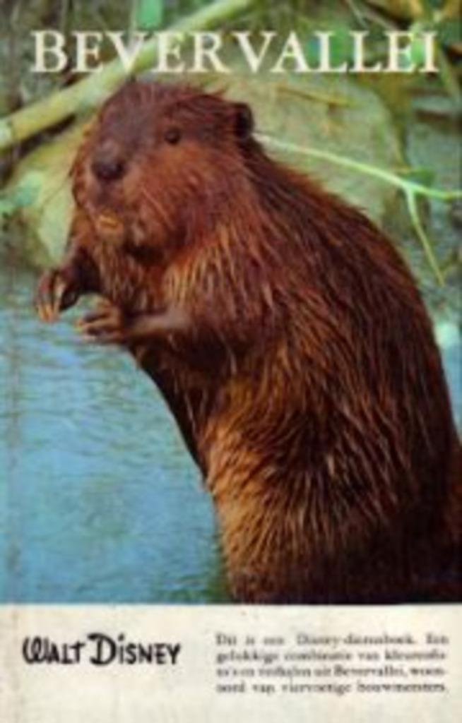 Bever vallei|Frans Grosfeld|Walt Disney Dierenboeken, Ophalen of Verzenden, Zo goed als nieuw, Non-fictie