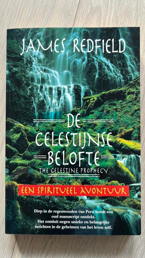 James Redfield - De Celestijnse belofte, Enlèvement ou Envoi, James Redfield