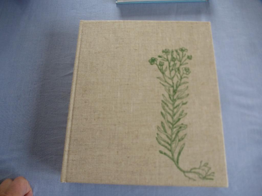 VLAS     20  eeuwen vlas in Vlaanderen   regio Kortrijk, Boeken, Verzenden, Bert Dewilde Carl Decaluw, 20e eeuw of later, Gelezen