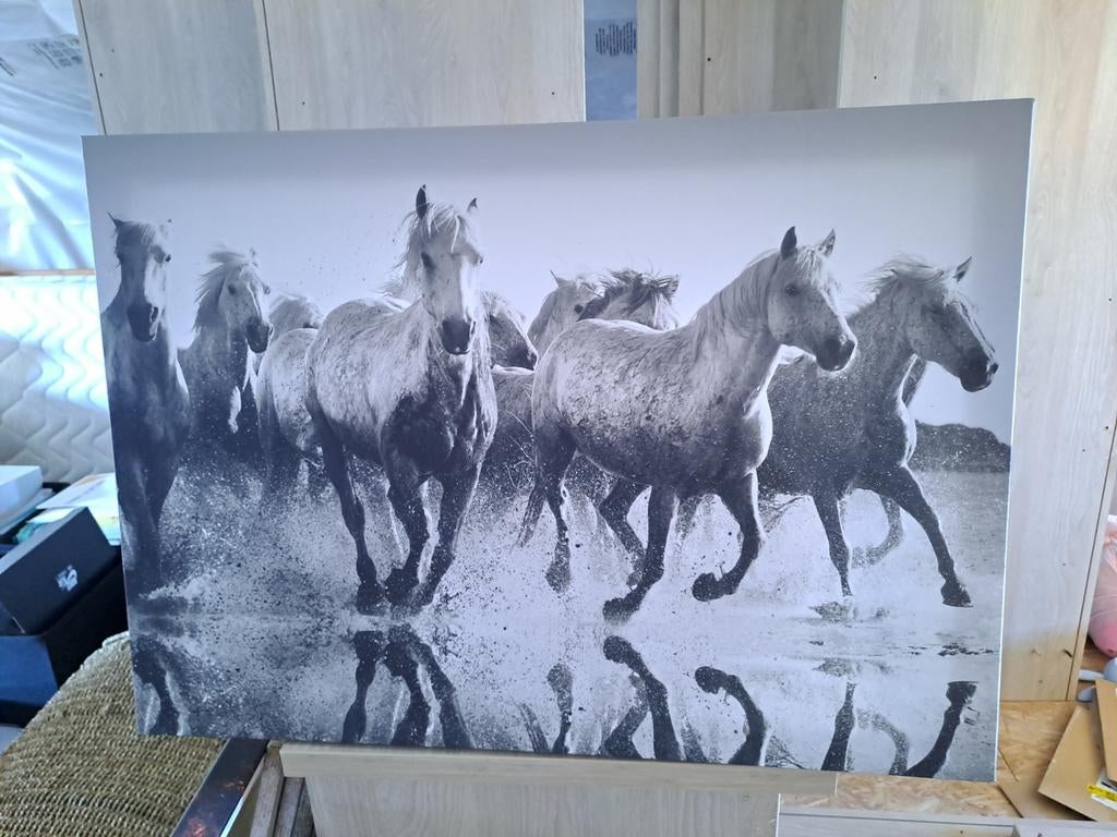 Cadre chevaux, Enlèvement ou Envoi
