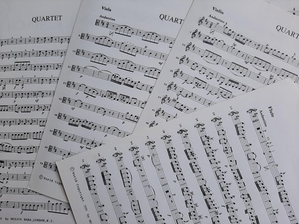 Bladmuziek fluit 1/2 i.c.m. blazers, strijkers, piano 13 x, Klassiek, Overige soorten, Ophalen of Verzenden, Zo goed als nieuw