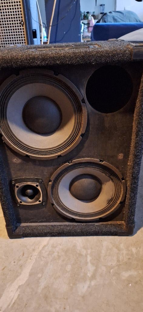 Baffle pour basse EBS évolution pro line 2000 2x10 pouces., Musique & Instruments, Enlèvement, Utilisé, Guitare basse