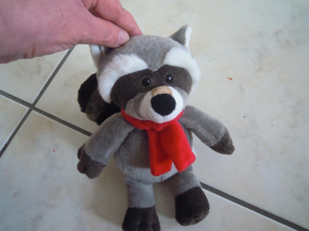 knuffel kinder wasbeer (doos aug 2026), Ophalen of Verzenden, Nieuw