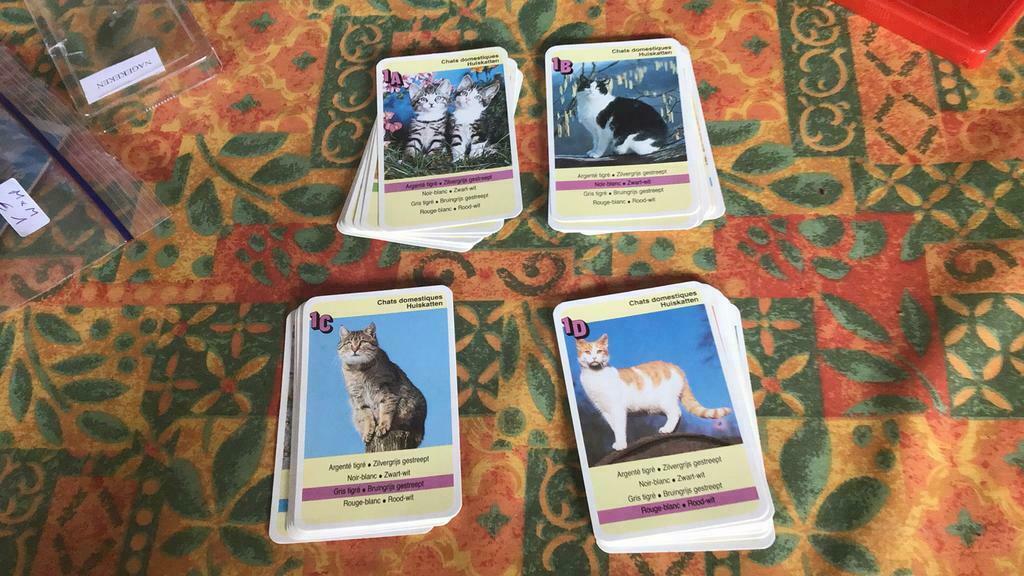 Quatuor de chats (a2), Enlèvement ou Envoi, Comme neuf, Jeu(x) des sept familles