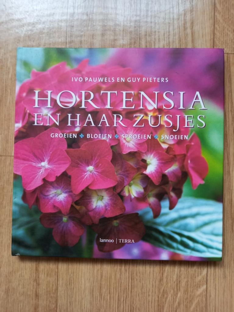 FAN VAN DE HYDRANGEA ?, Enlèvement ou Envoi, Neuf